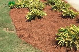 Mulch Installation