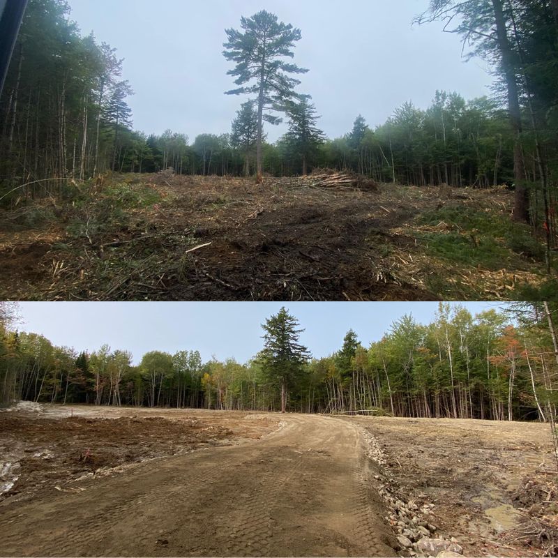 Land Clearing & Forestry Mulching