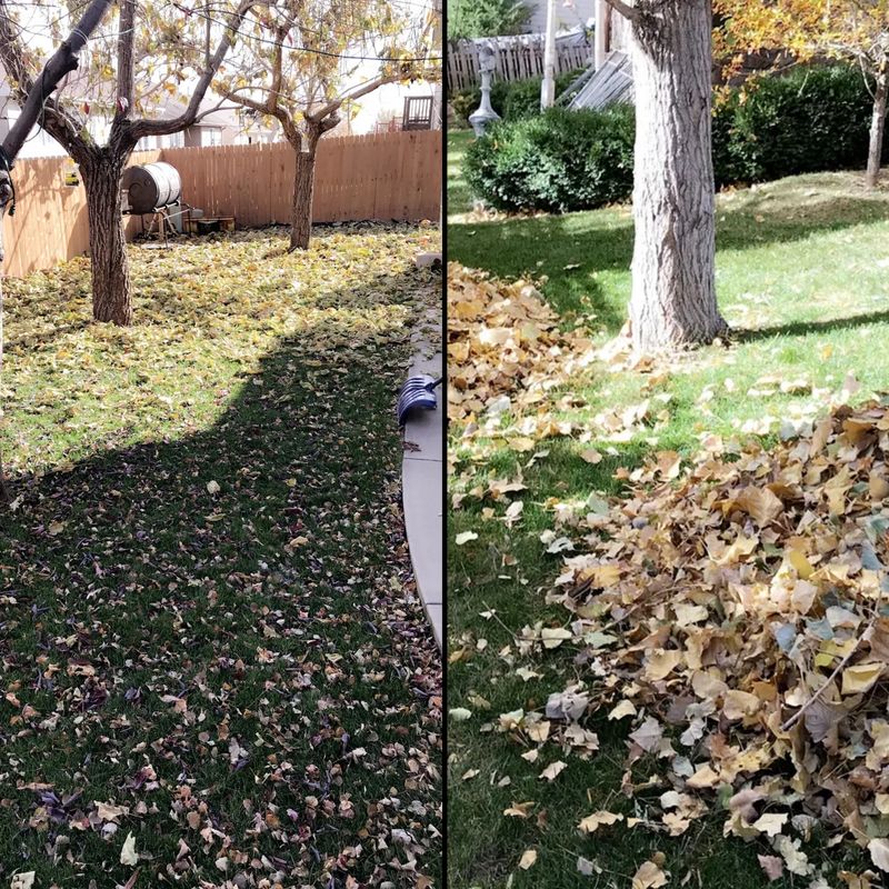 CLEANUPS