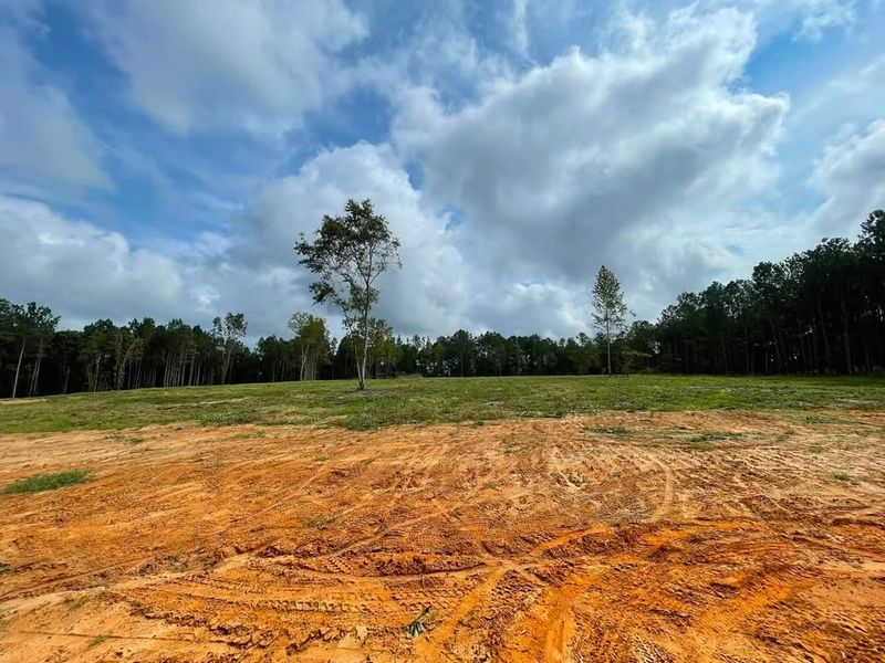 Land Clearing and Site Preparation