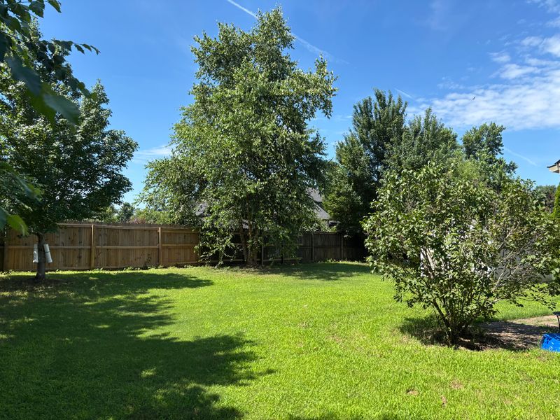 Lawn Maintenance