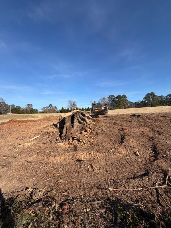 Stump Excavation
