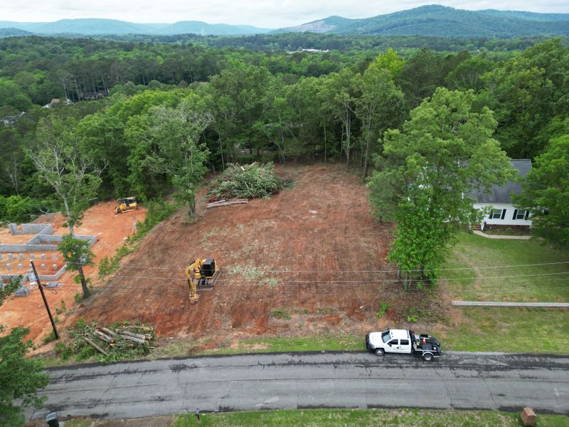 Land Clearing