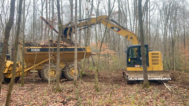 Land Clearing