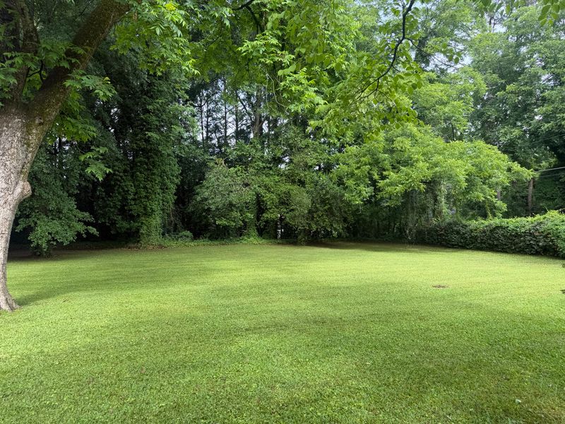 Lawn maintenance gallery
