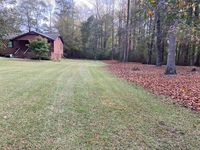Fall Clean Up