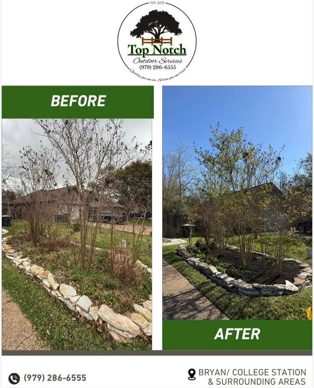 Tree and Shrub Care