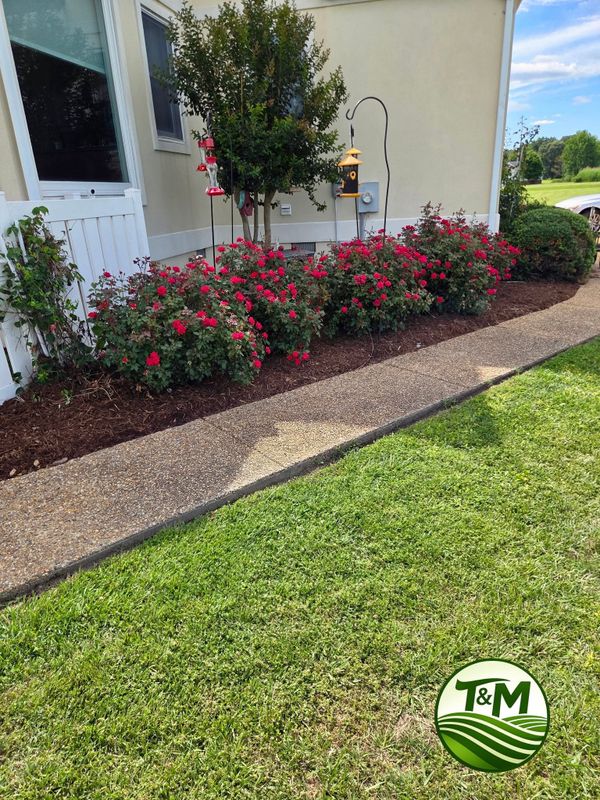 Landscape Design & Installation