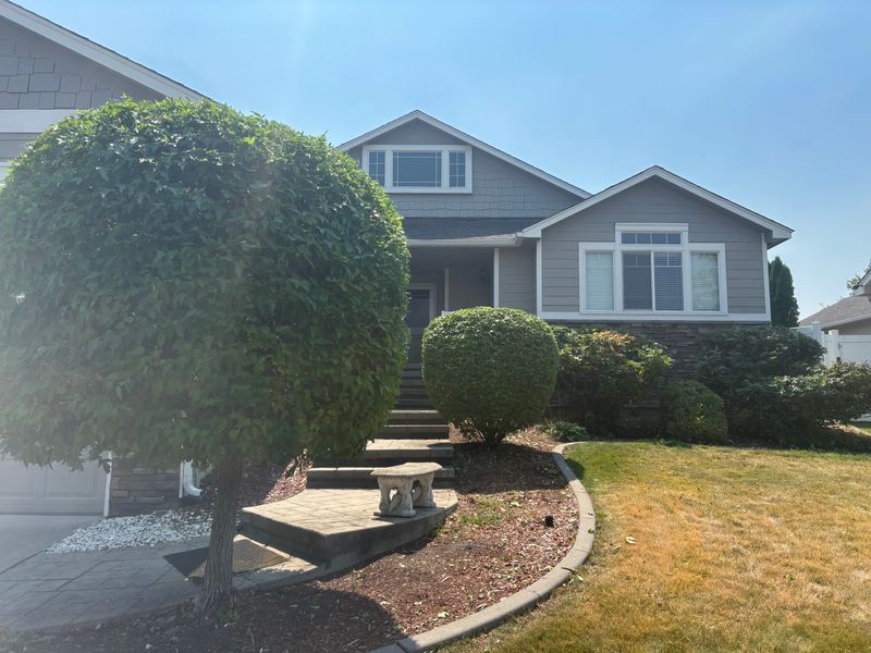 Tree and Shrub Care