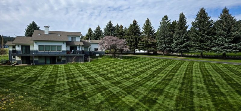 Lawn Maintenance