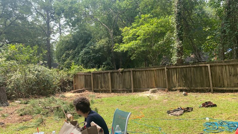 Stump Removal
