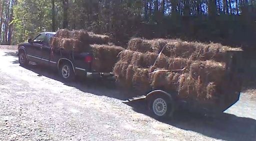 Pinestraw Installation