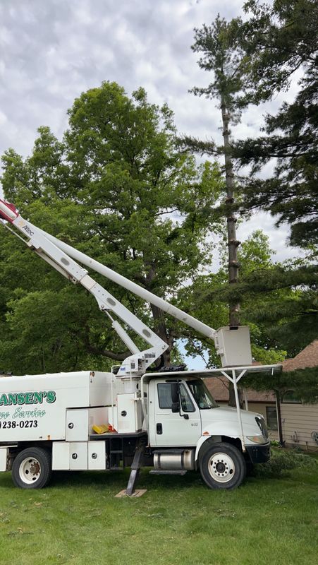 Tree jobs