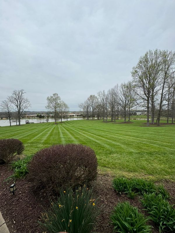 Landscaping