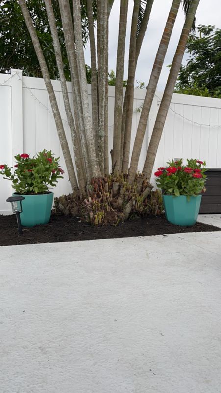 Landscaping & Outdoor Design