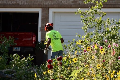 Tree Trimming