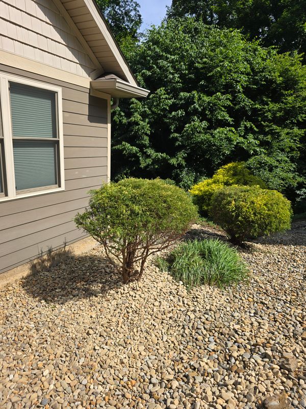 Landscaping