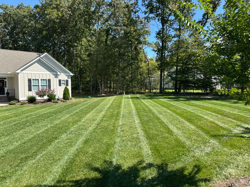 Lawn Care