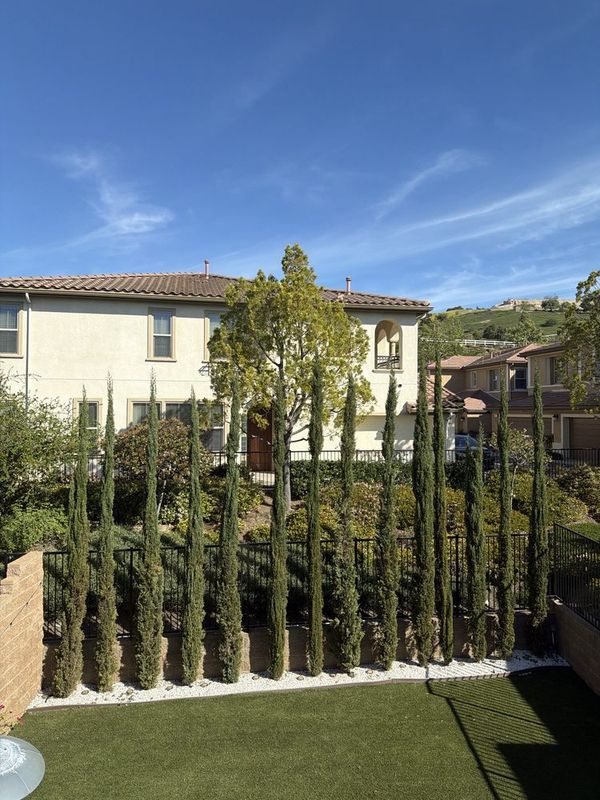 Shrub Trimming