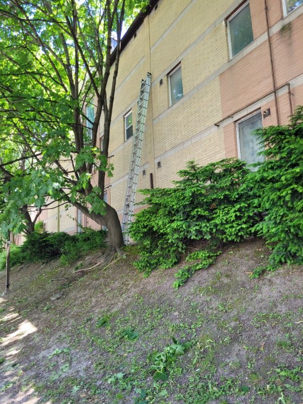 Toronto Transformation: Restoration and Roofing Excellence by Triumph Inc