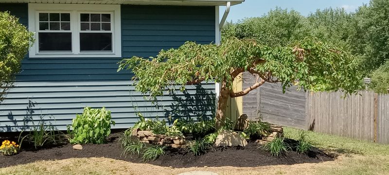 Landscape Installation