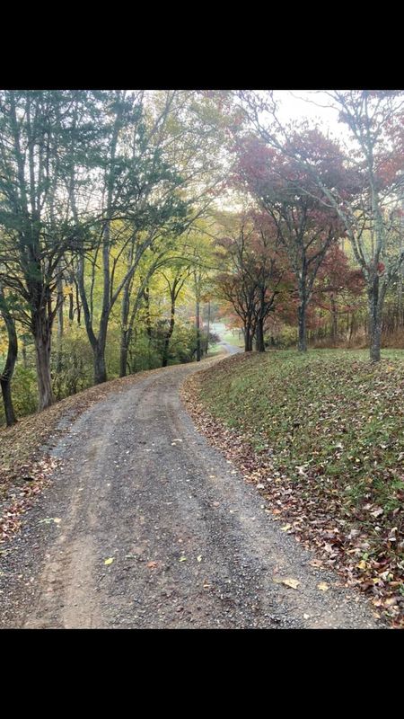 Road & Driveway Regrading