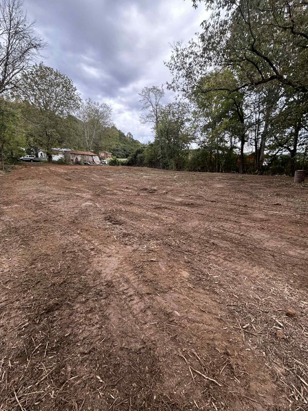 Land Clearing