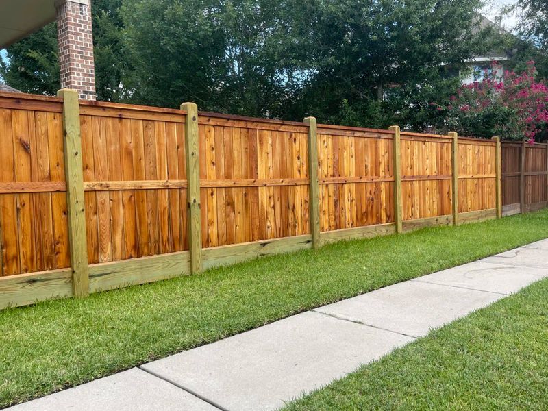 Fencing Repair & Installation