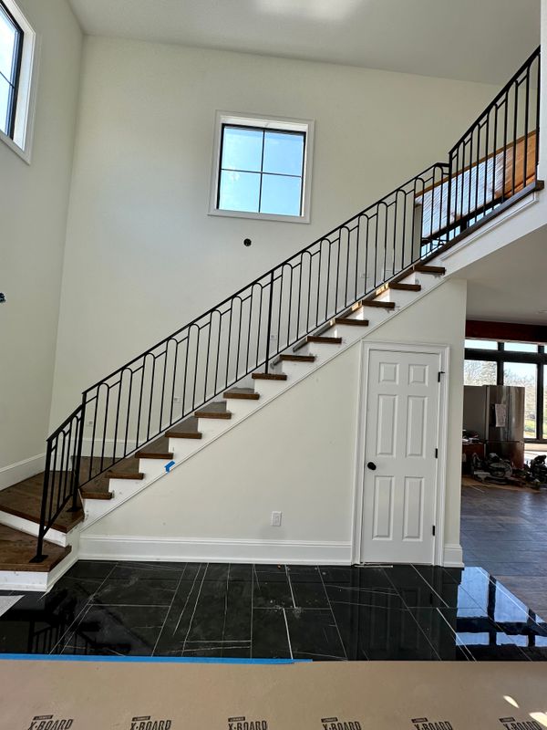Ornamental iron railings
