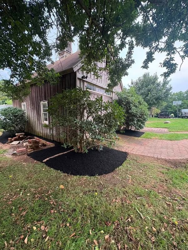 Landscape Design