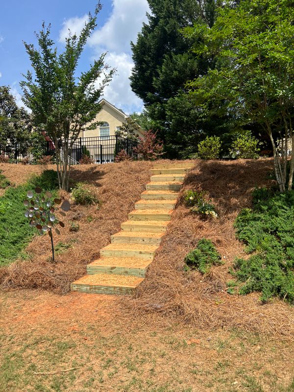Lawn Care and Maintenance