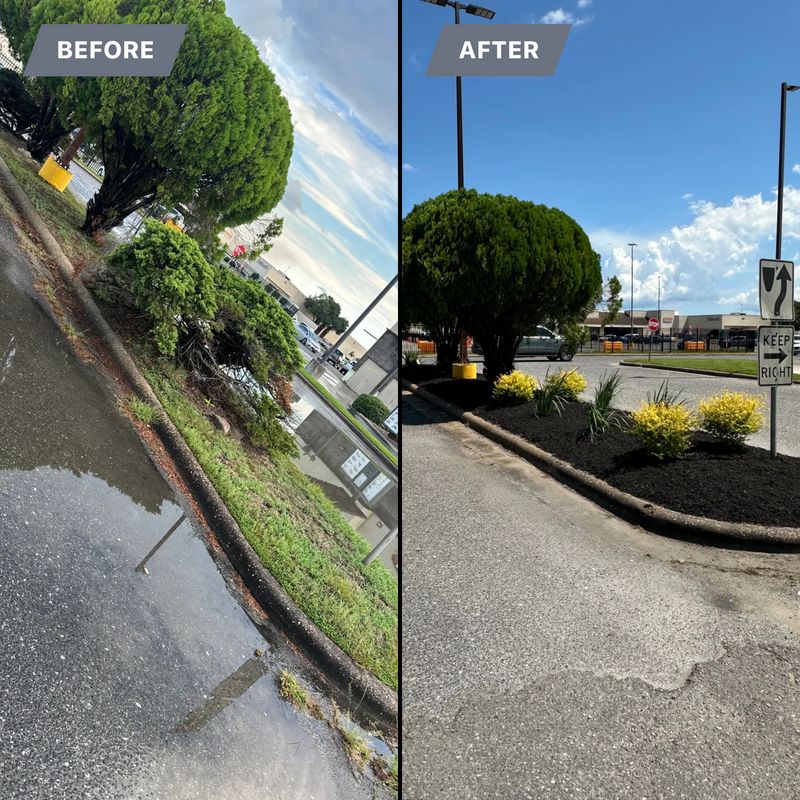 Landscaping 