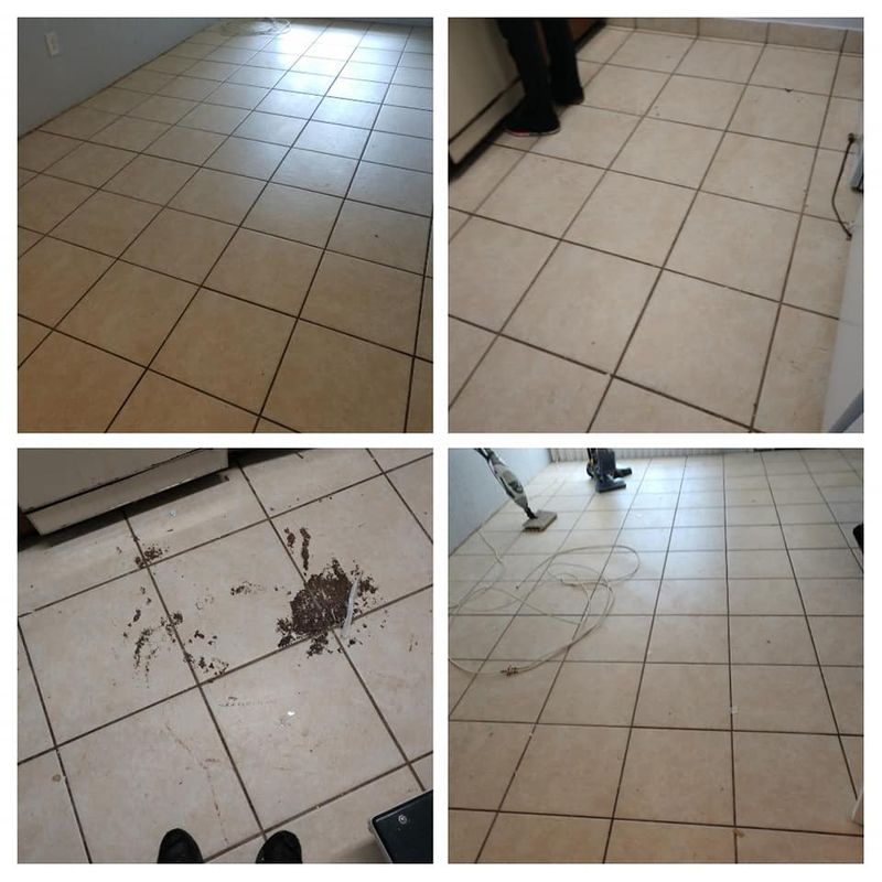 Commercial Cleaning 