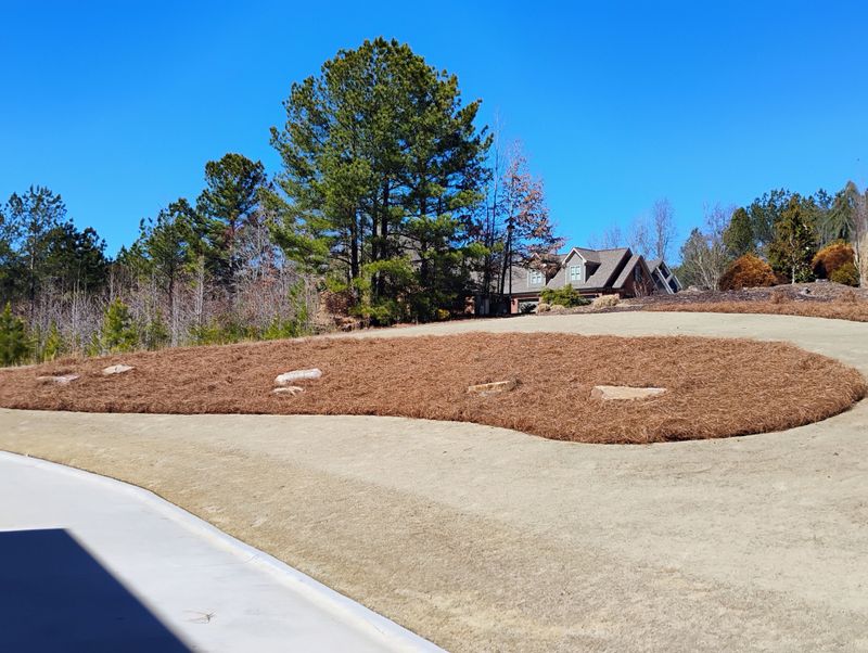 Landscaping