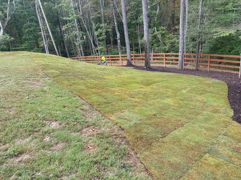 Landscaping
