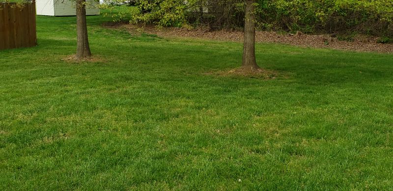 Weed Control and Fertilizer Treatment