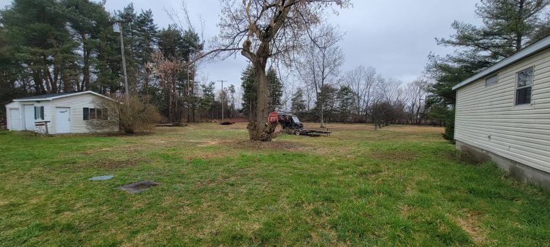Tree Trimming