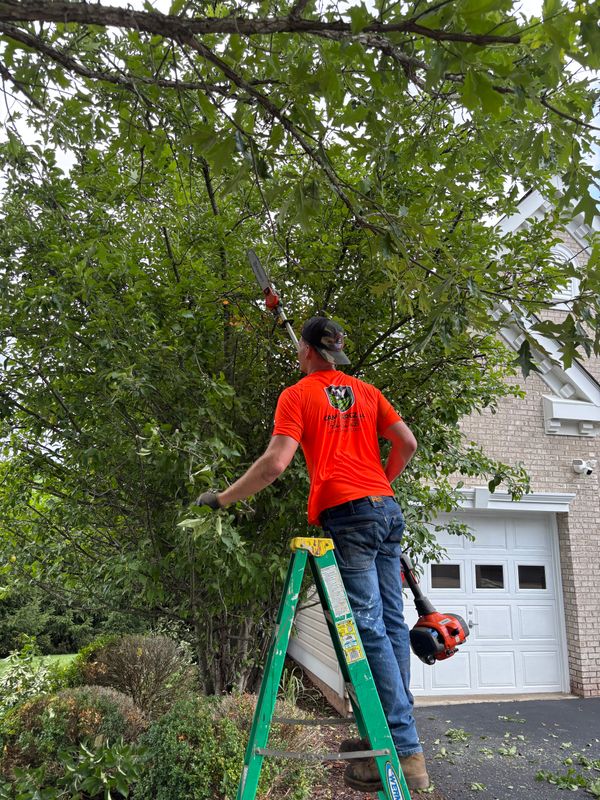 Landscaping