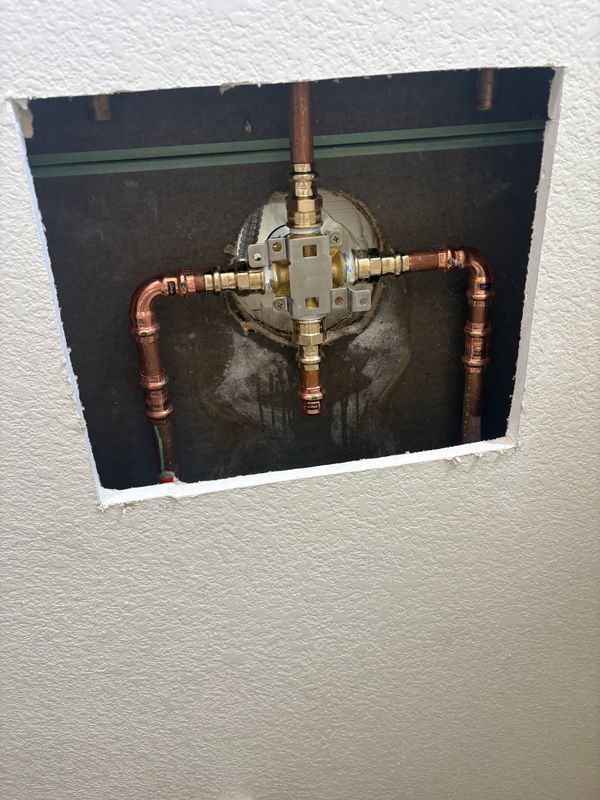 Shower valve and toilet upgrade