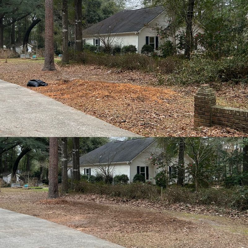 Land Managment 