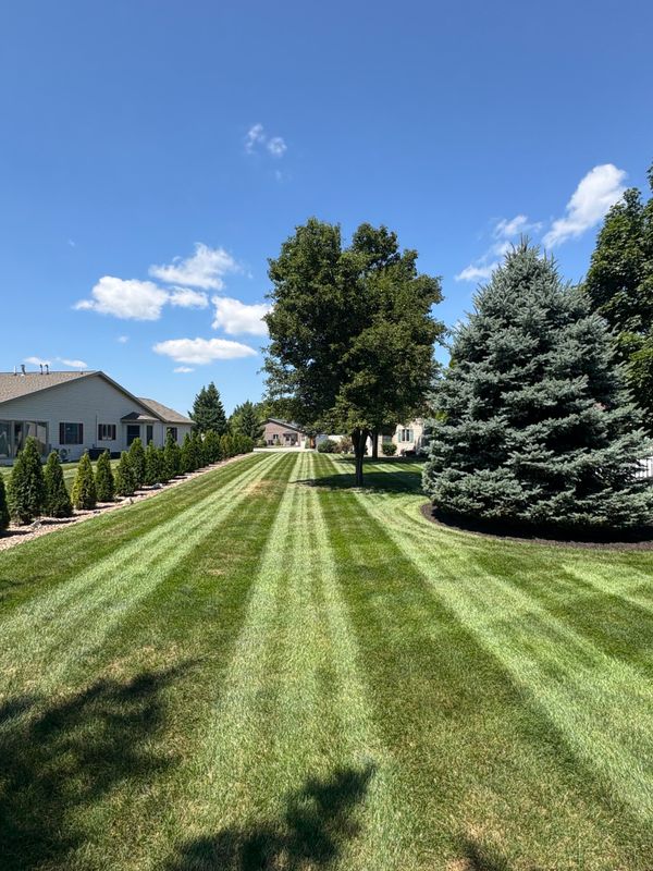 Mowing