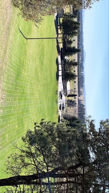 Lawn Maintenance