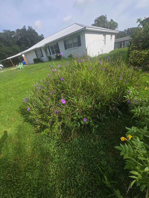 Lawn Care & Maintenance