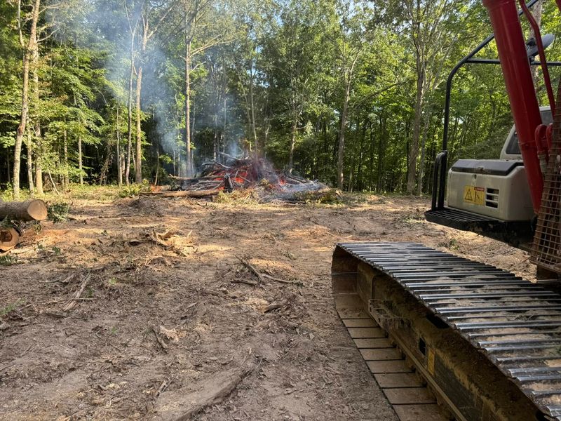 Lot Clearing