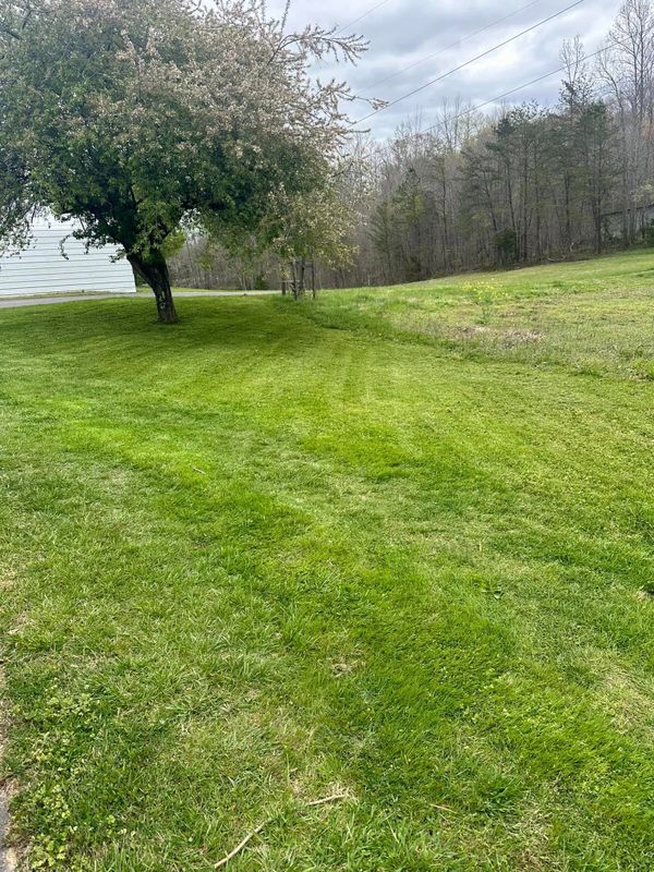 Lawn Maintenance