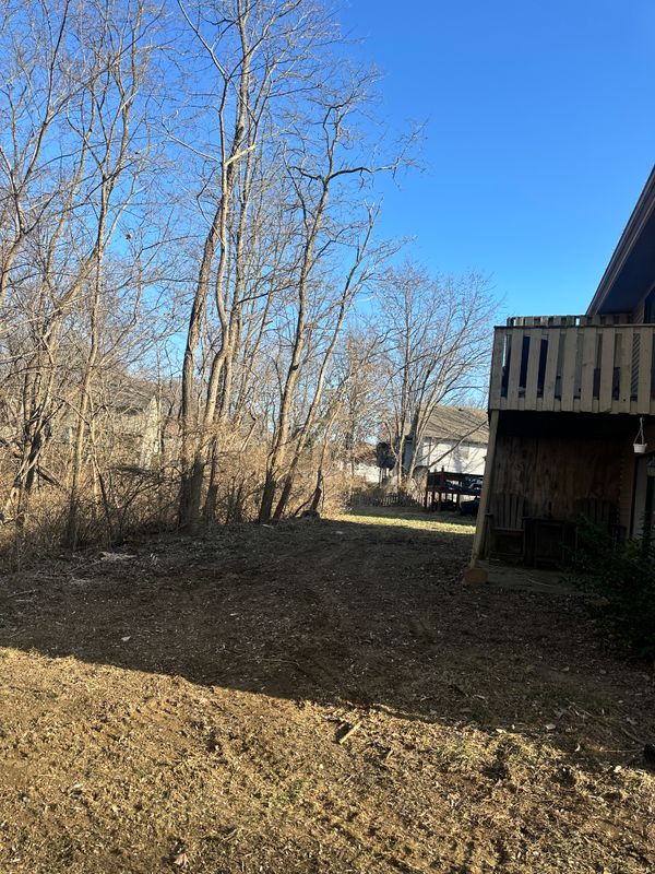 Land Clearing