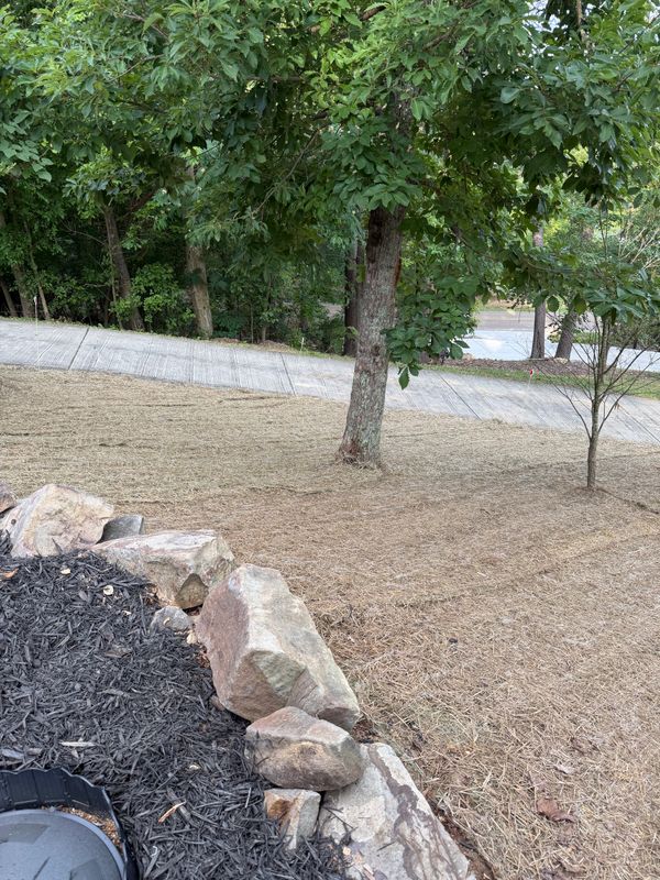 Landscape and landscape design