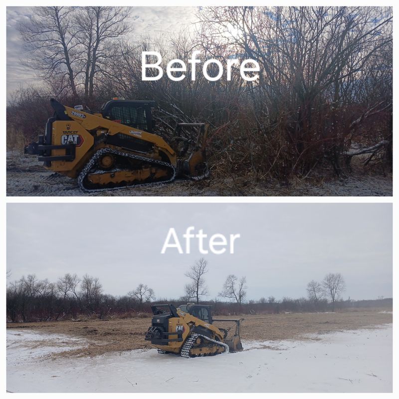 Stump Grinding