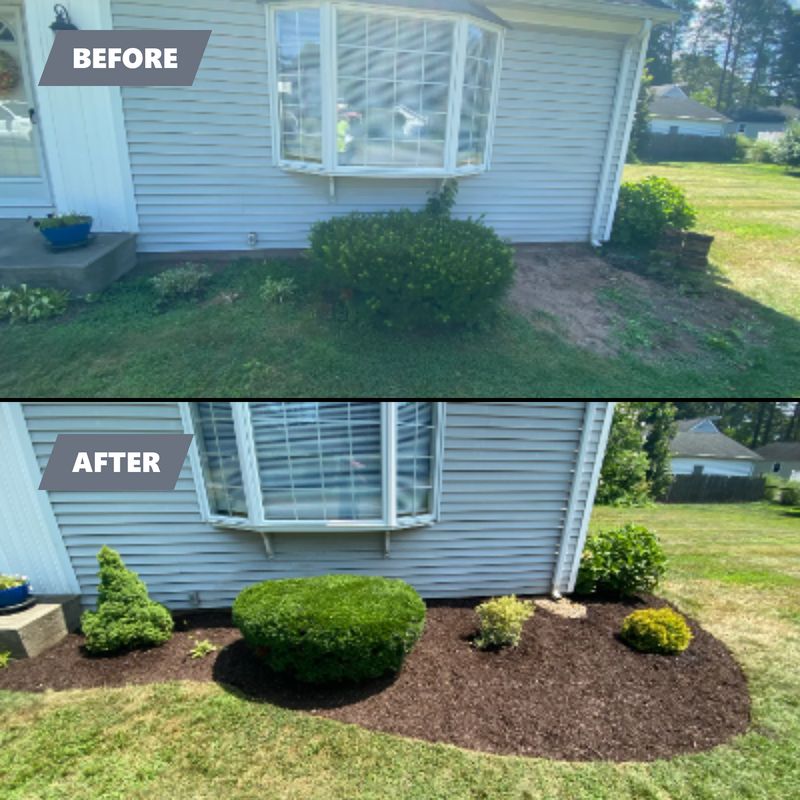 Plant & Shrub Installations