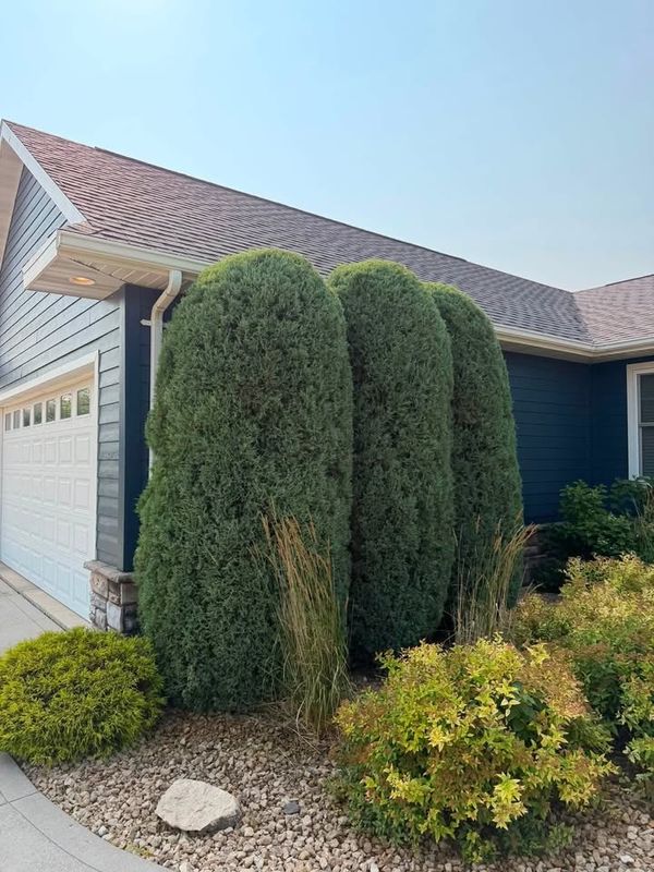 Tree & Shrub Trimming | Meticulous Mowing LLC | Grand Forks, ND